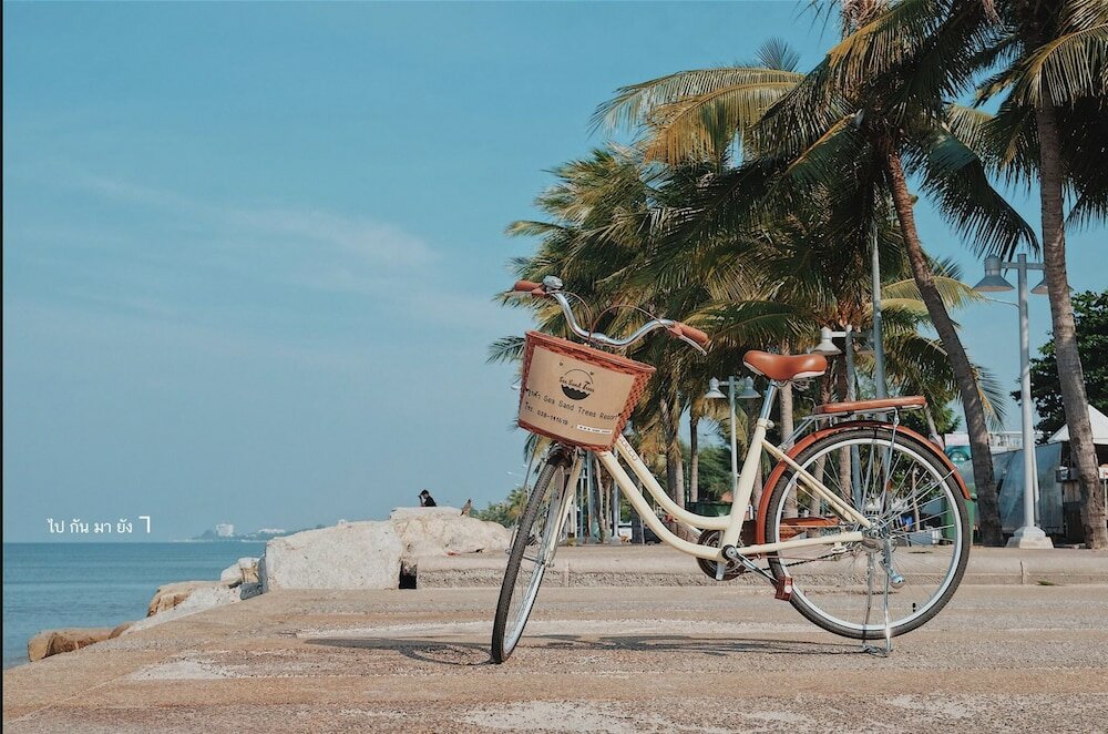 Фото Sea Sand Trees