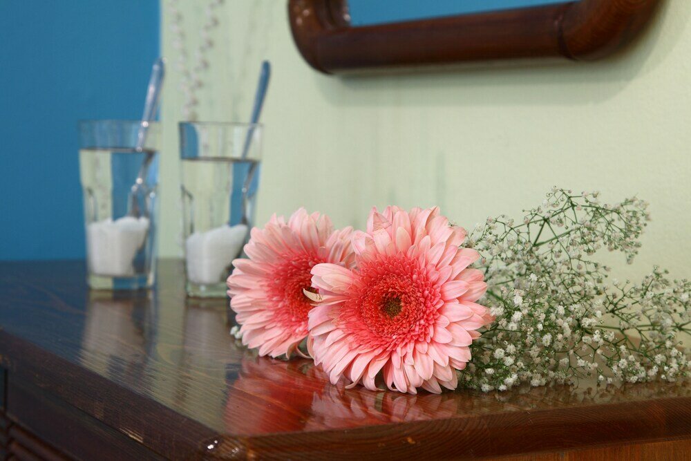 Фото Nikolas and Sofia Studios