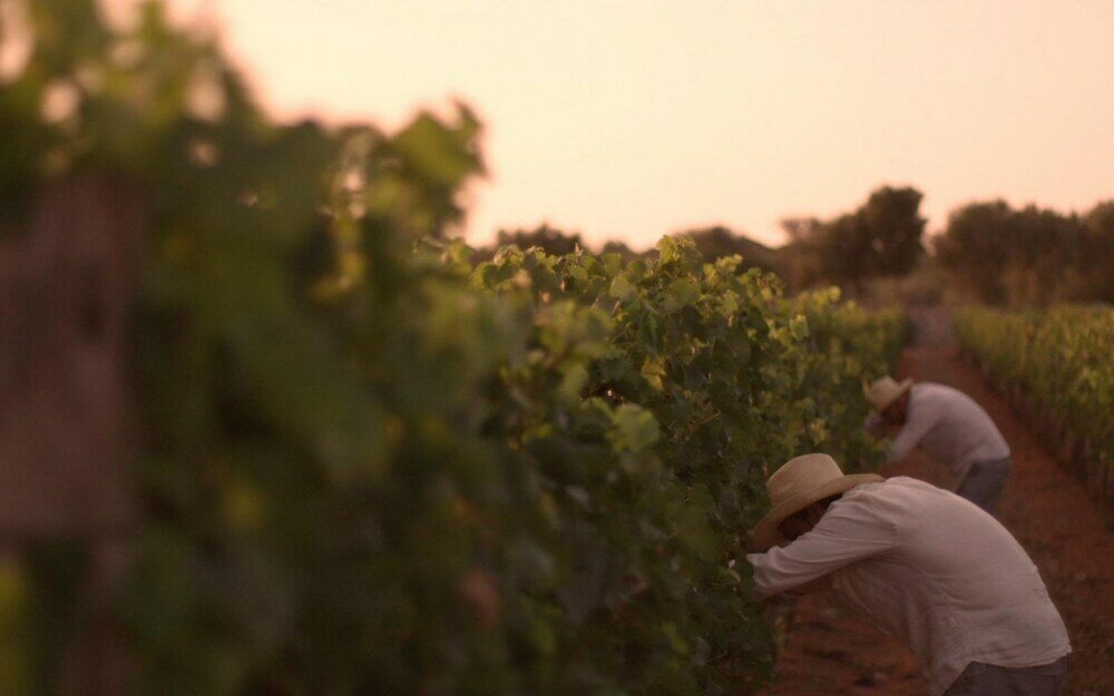 Фото Hotel Ariosto