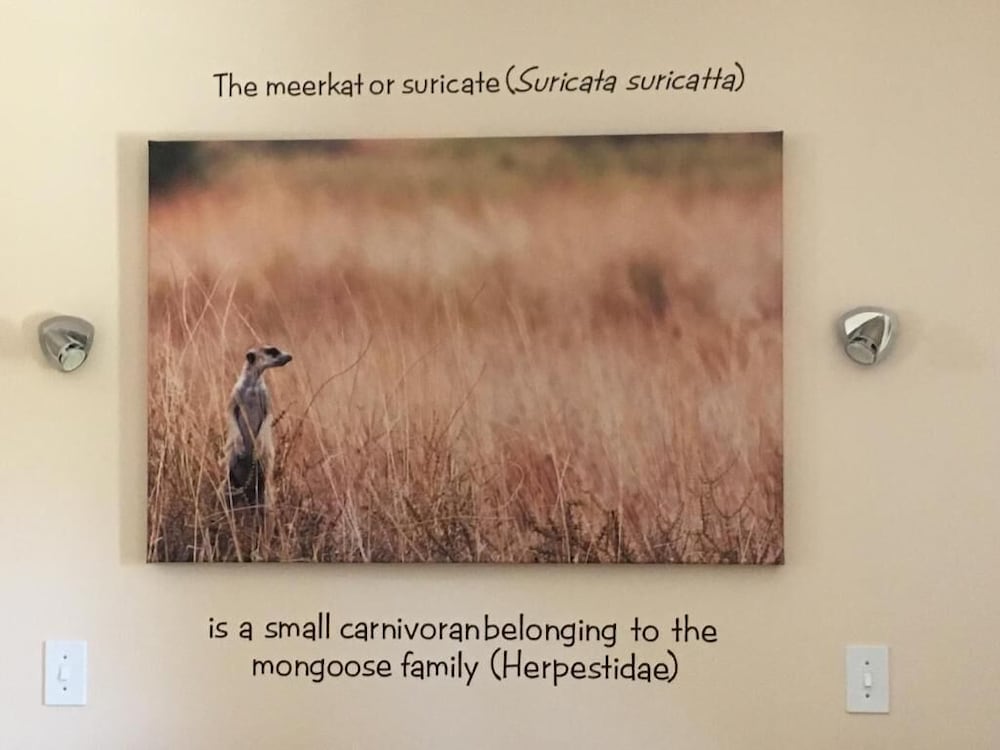 Фото Eldorado Lodge Cc