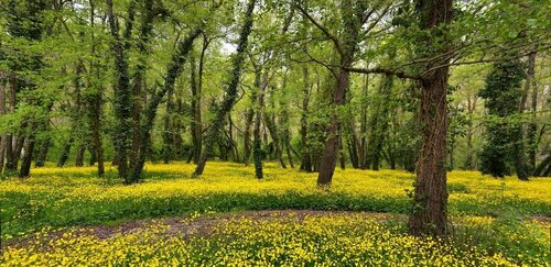 Гостиница Елица в Албене