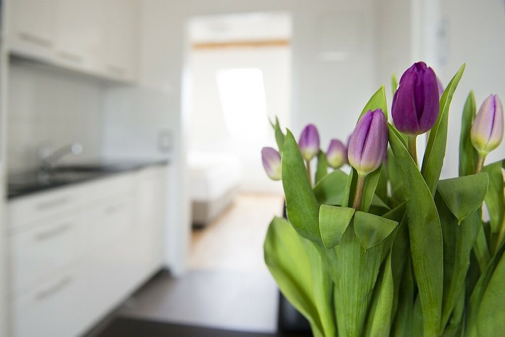 Фото Red Elephant