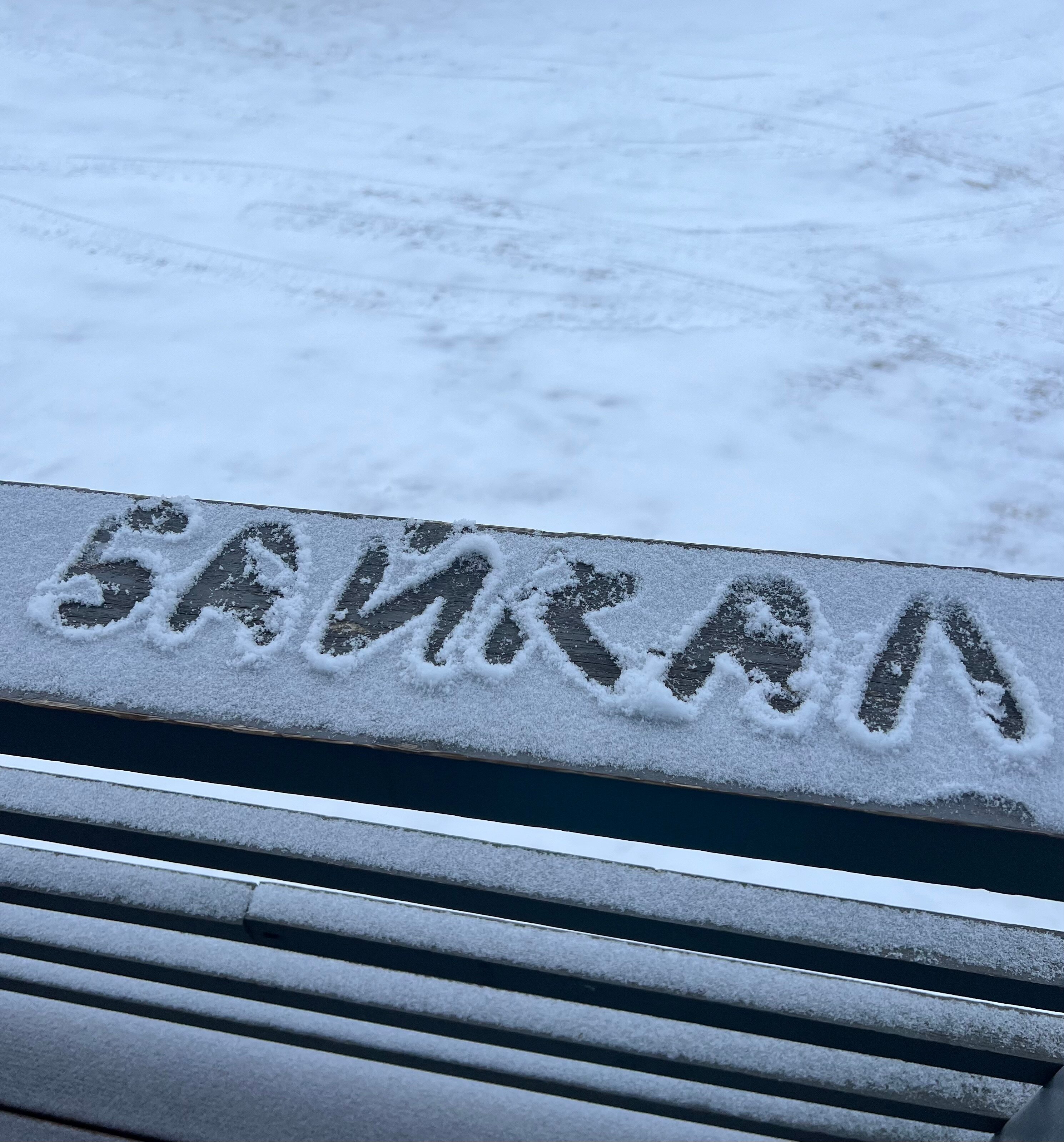 Фото Байкал Кедр