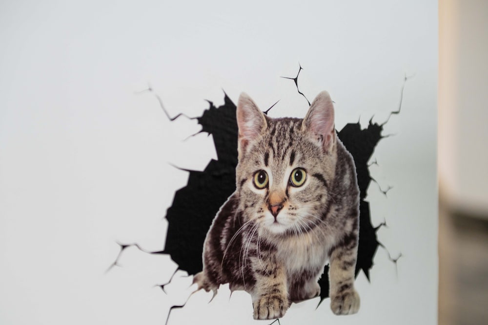 Фото Home Big CrIré at '724