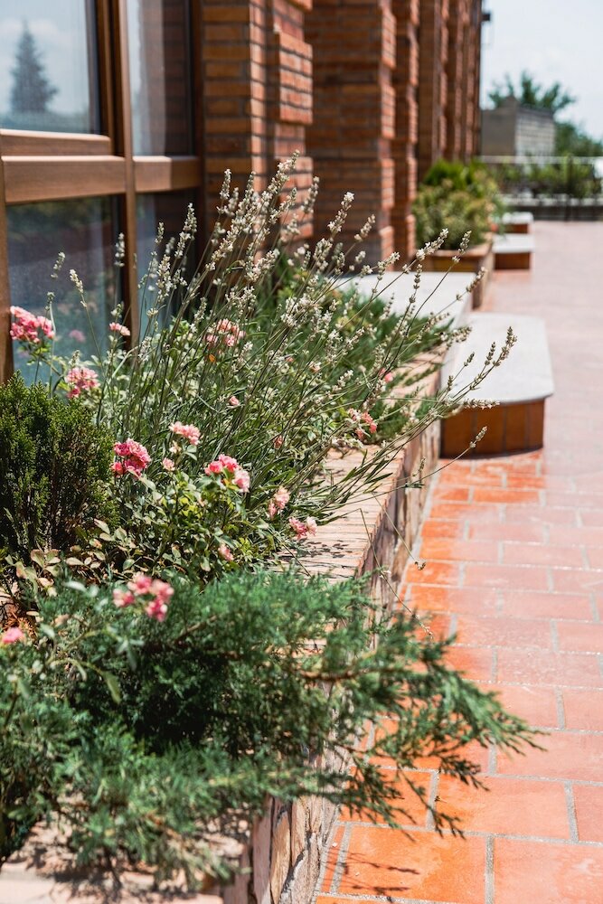 Фото My Georgian village