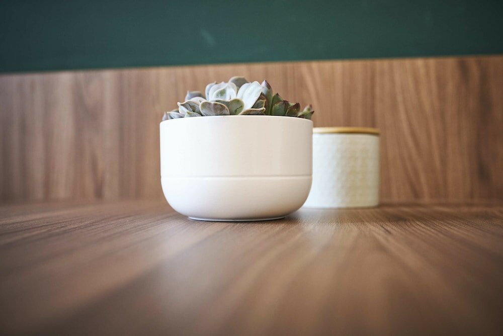 Фото Nove Boutique Apartments