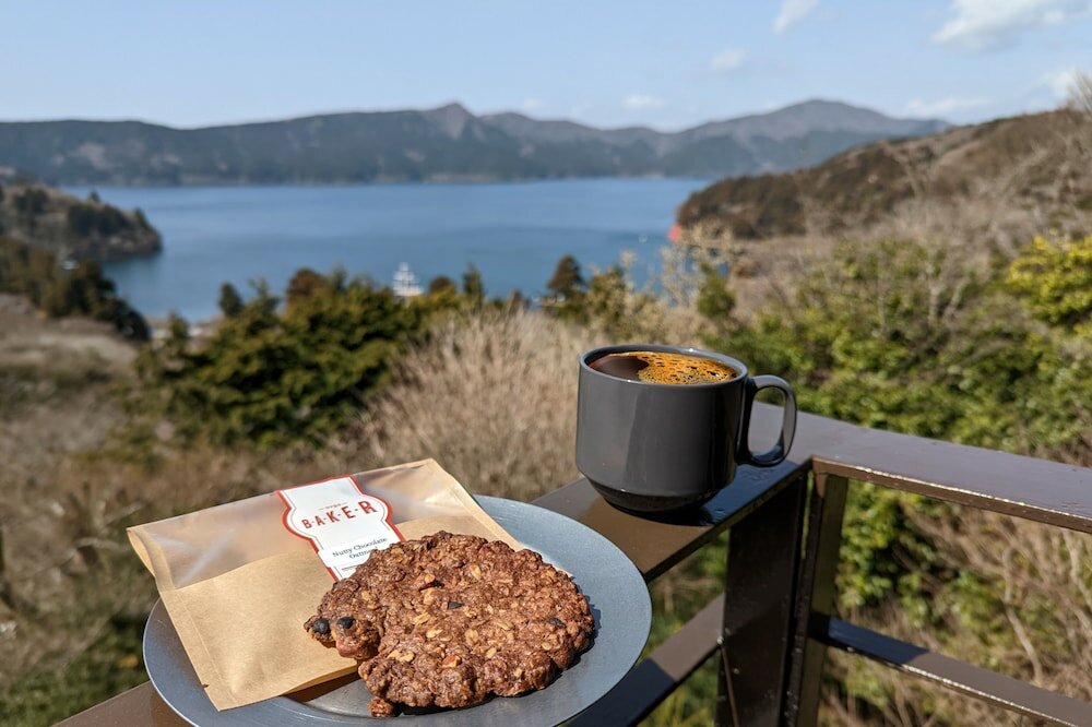 Фото Villa Hakone Koku