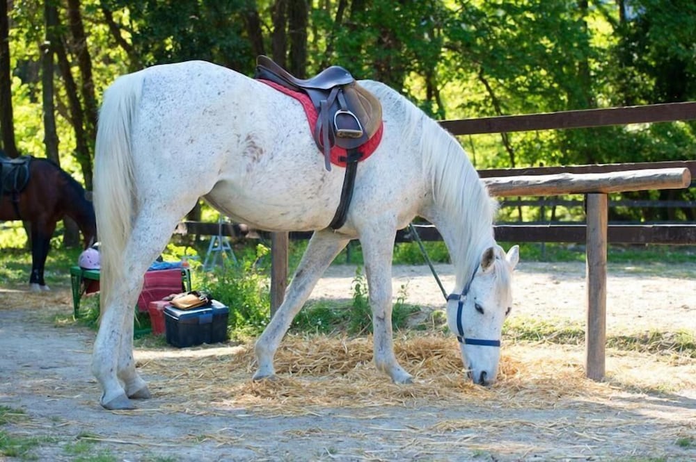 Фото Panorama Hotel