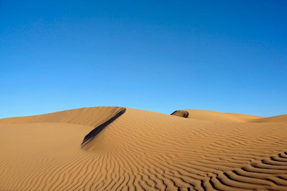 Фото La Dune Blanche