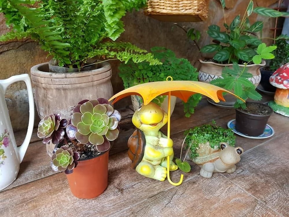 Фото Batumi Globus