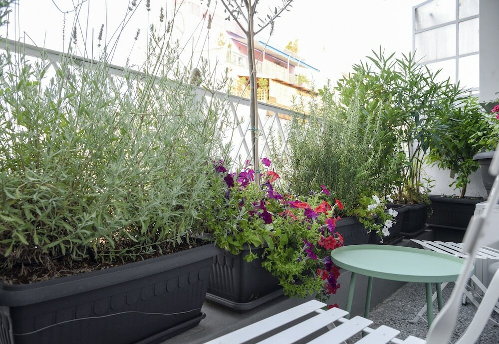 Фото Athenian Sensations Apartments & Suites