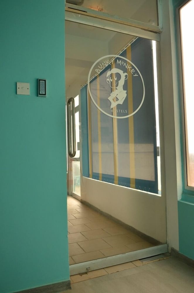 Фото Bunky Monkey - Hostel