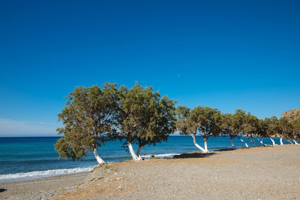 Фото Preveli Dionyssos Rooms