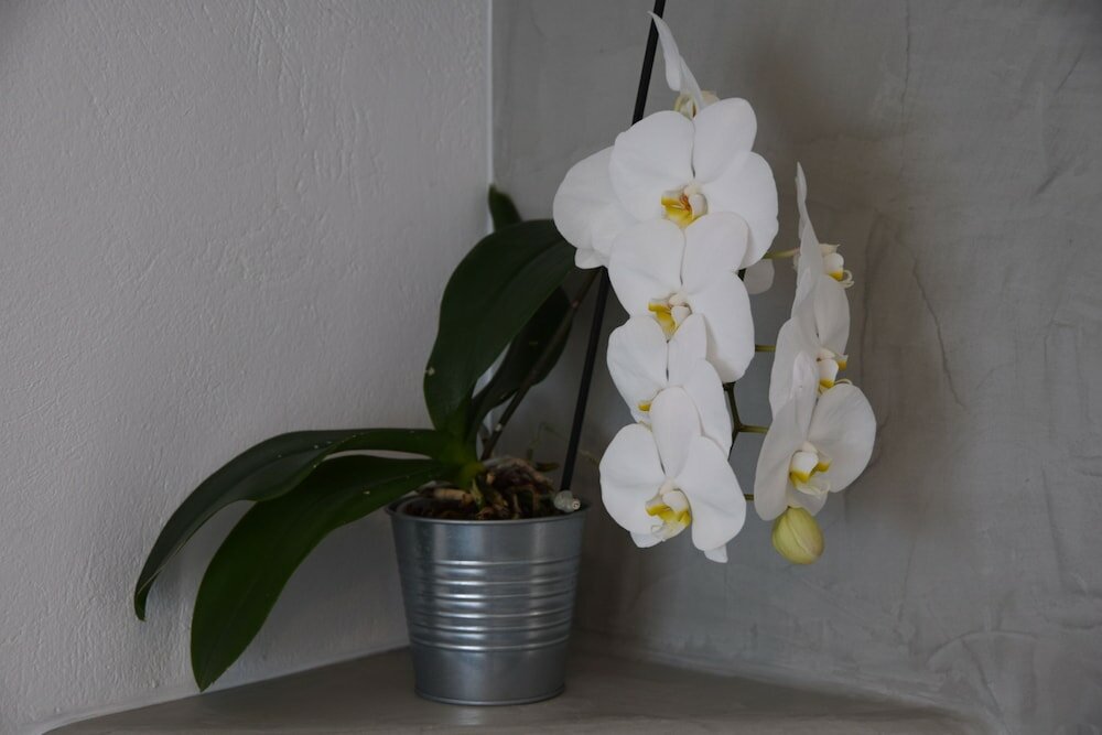 Фото Acrothea Suites & Villas