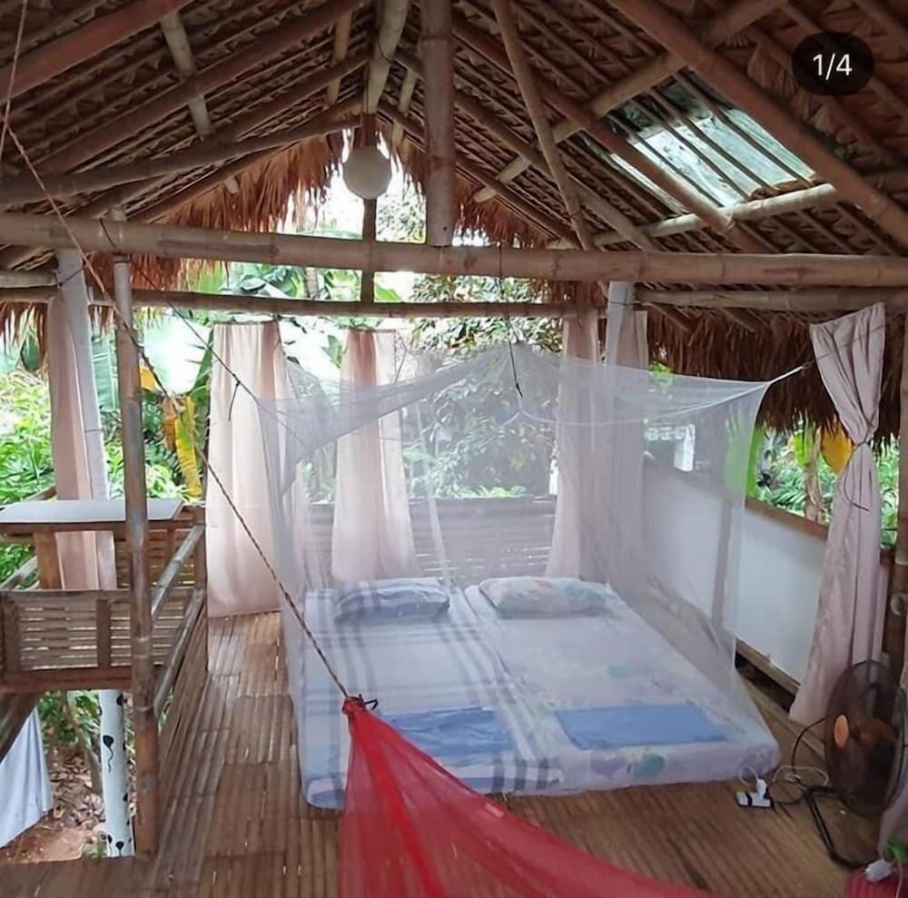 Фото Dream-Big Eco Hostel