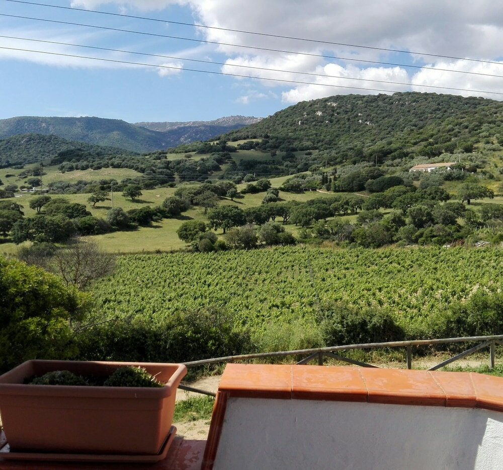 Фото Agriturismo B&b Domo De Resteblas