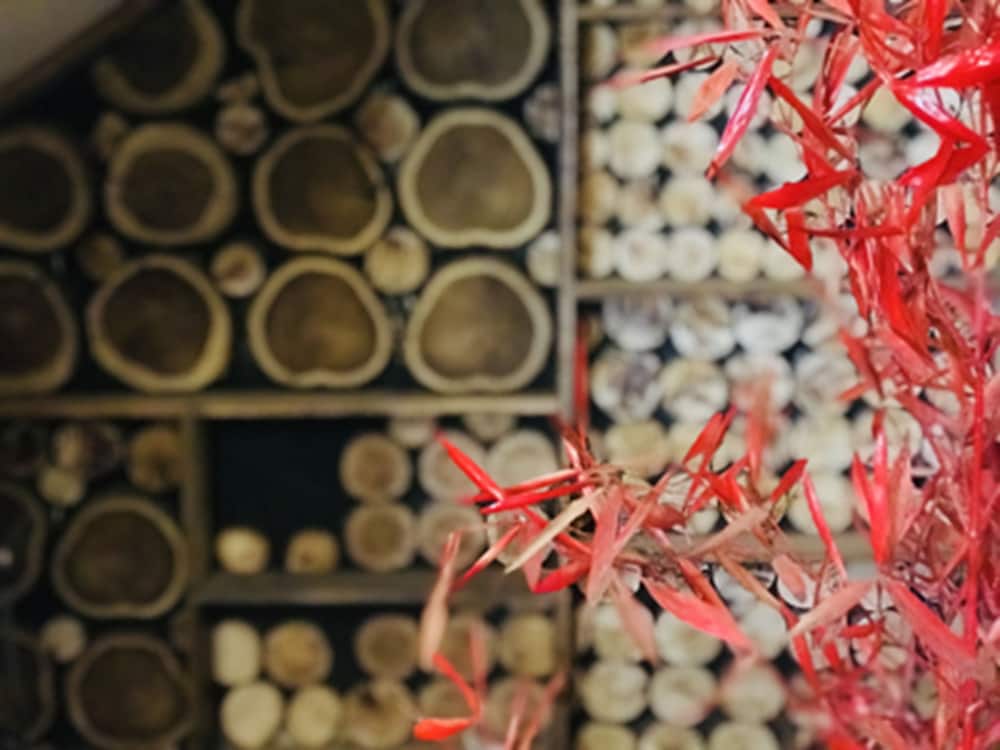 Фото La Posada del Tiempo