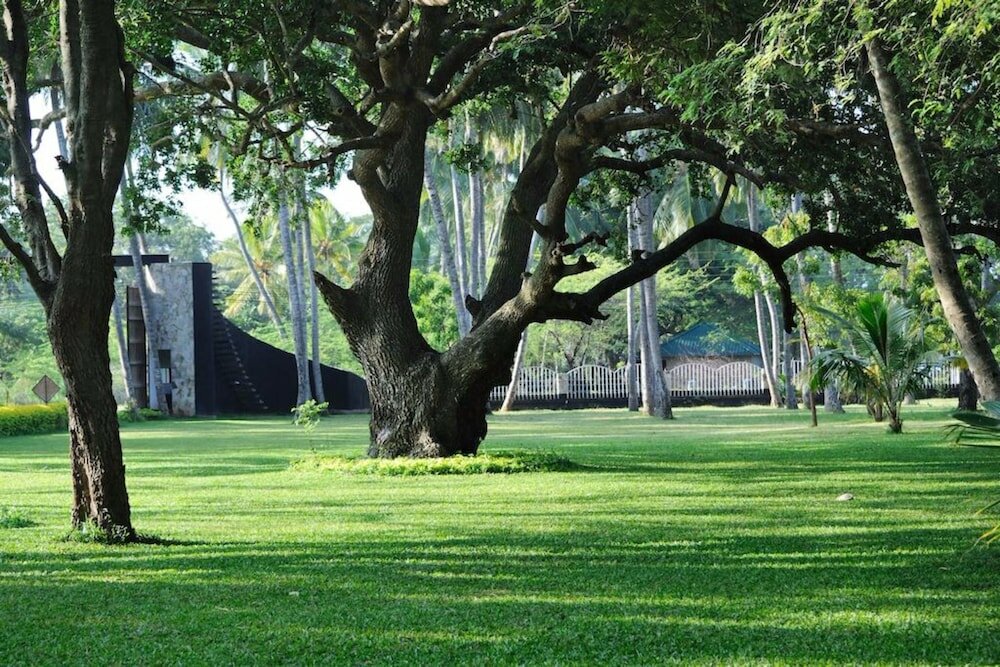 Фото Peacock Beach Resort & SPA