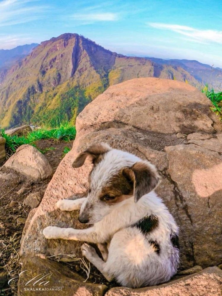 Фото Ella Hotel Upper Hill