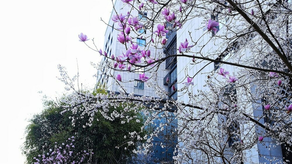 Фото Crowne Plaza Huangshan Yucheng