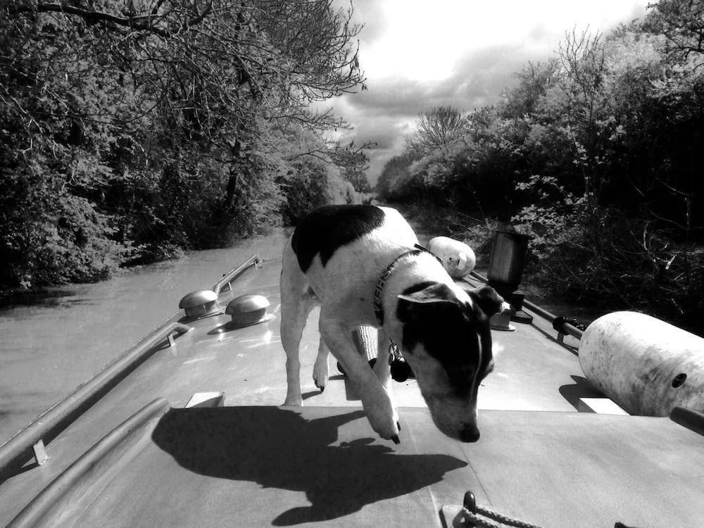 Фото Boutique Bijoux Garden Flat in Vibrant Oval