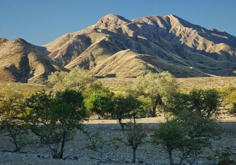 Фото P Wake Guesthouse