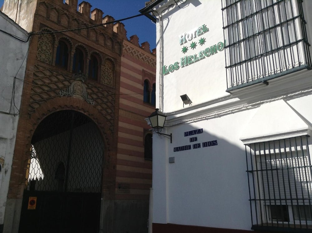 Фото Hotel Los Helechos