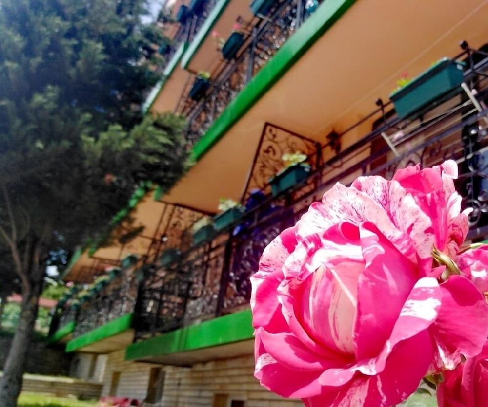 Фото Hotel Vitalis