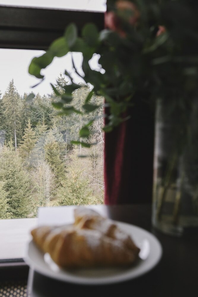 Фото Borovets Green Hotel