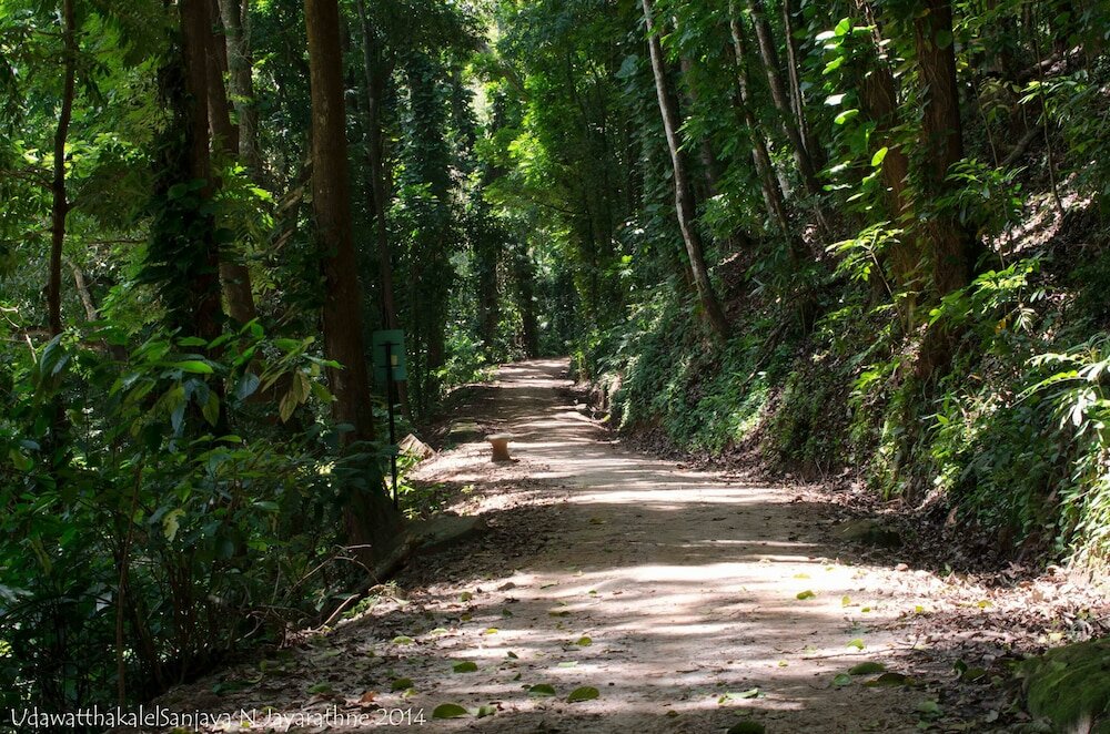 Фото Jay's Bunks-Kandy Hostel - Adults Only