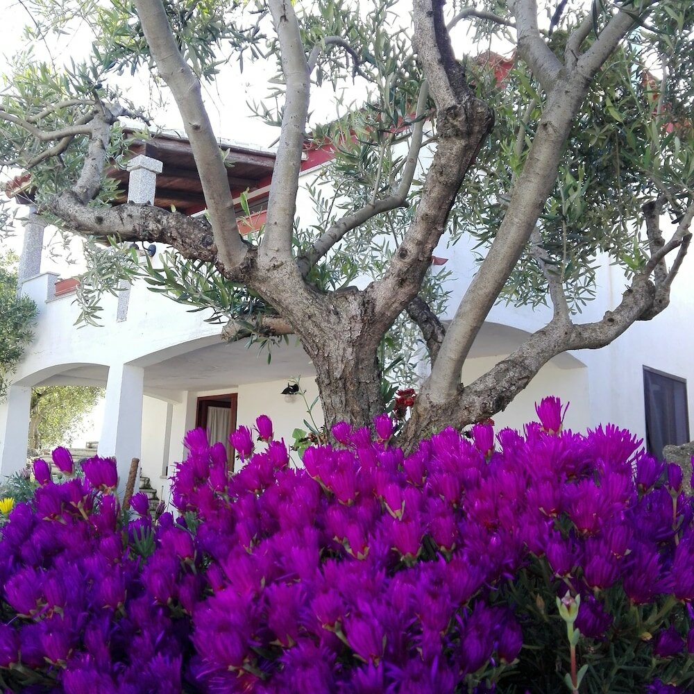 Фото Agriturismo B&b Domo De Resteblas