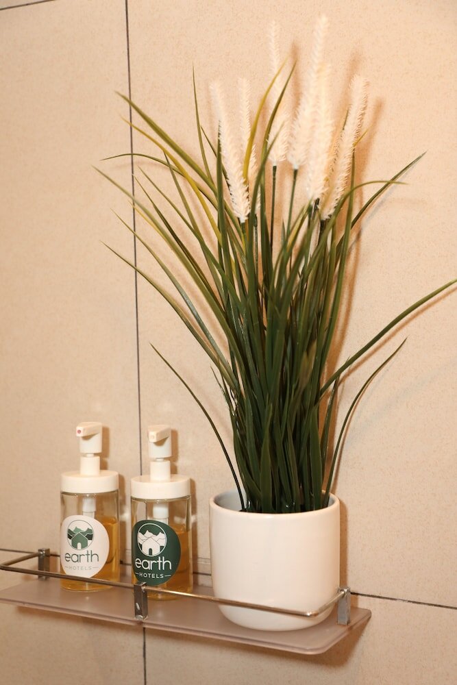 Фото Earth Hotels