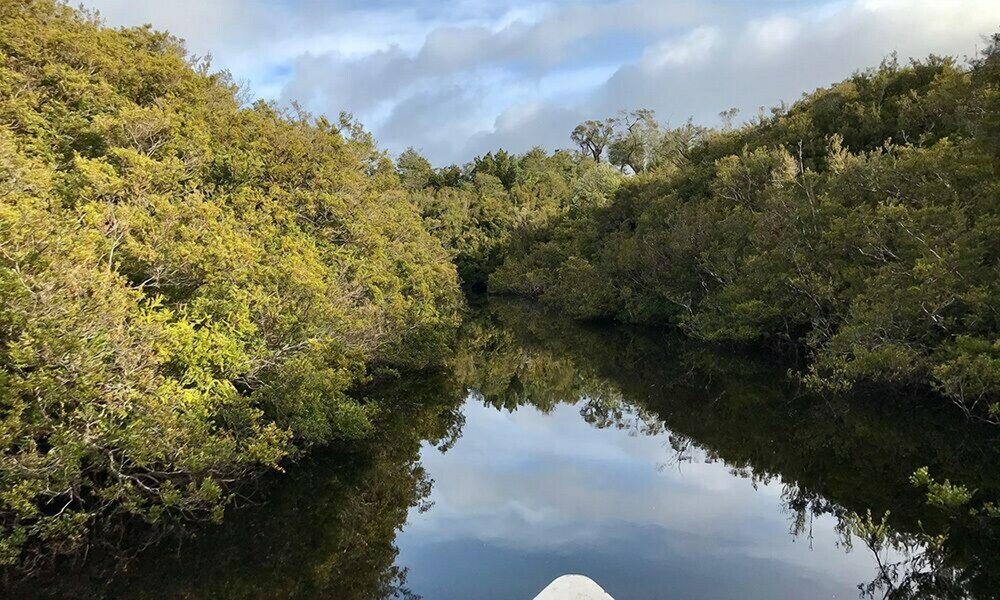 Фото Hotel Parque Tepuhueico