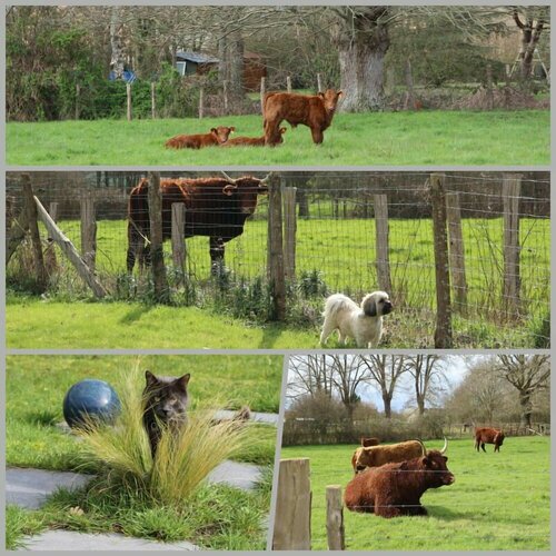 Гостиница La Catiniere в Ле-Мане