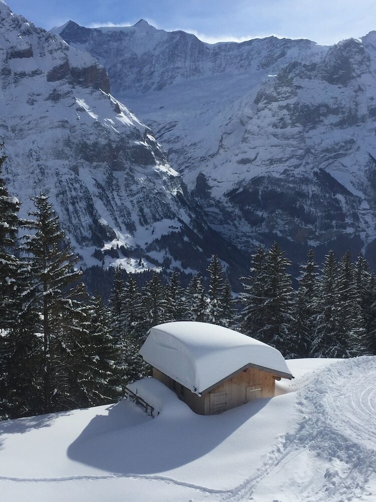 Фото Haus Bel Air