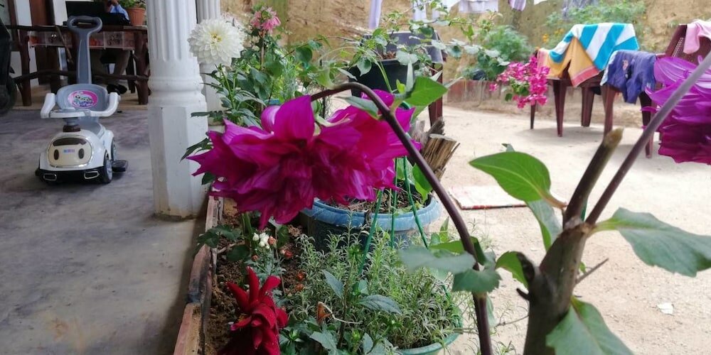 Фото Ella Forest Eco View