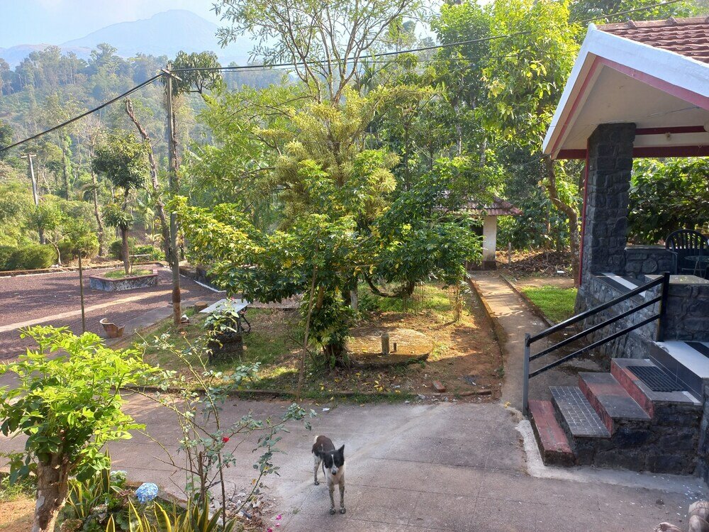 Фото Manikkal Outhouse Cottage Wayanad