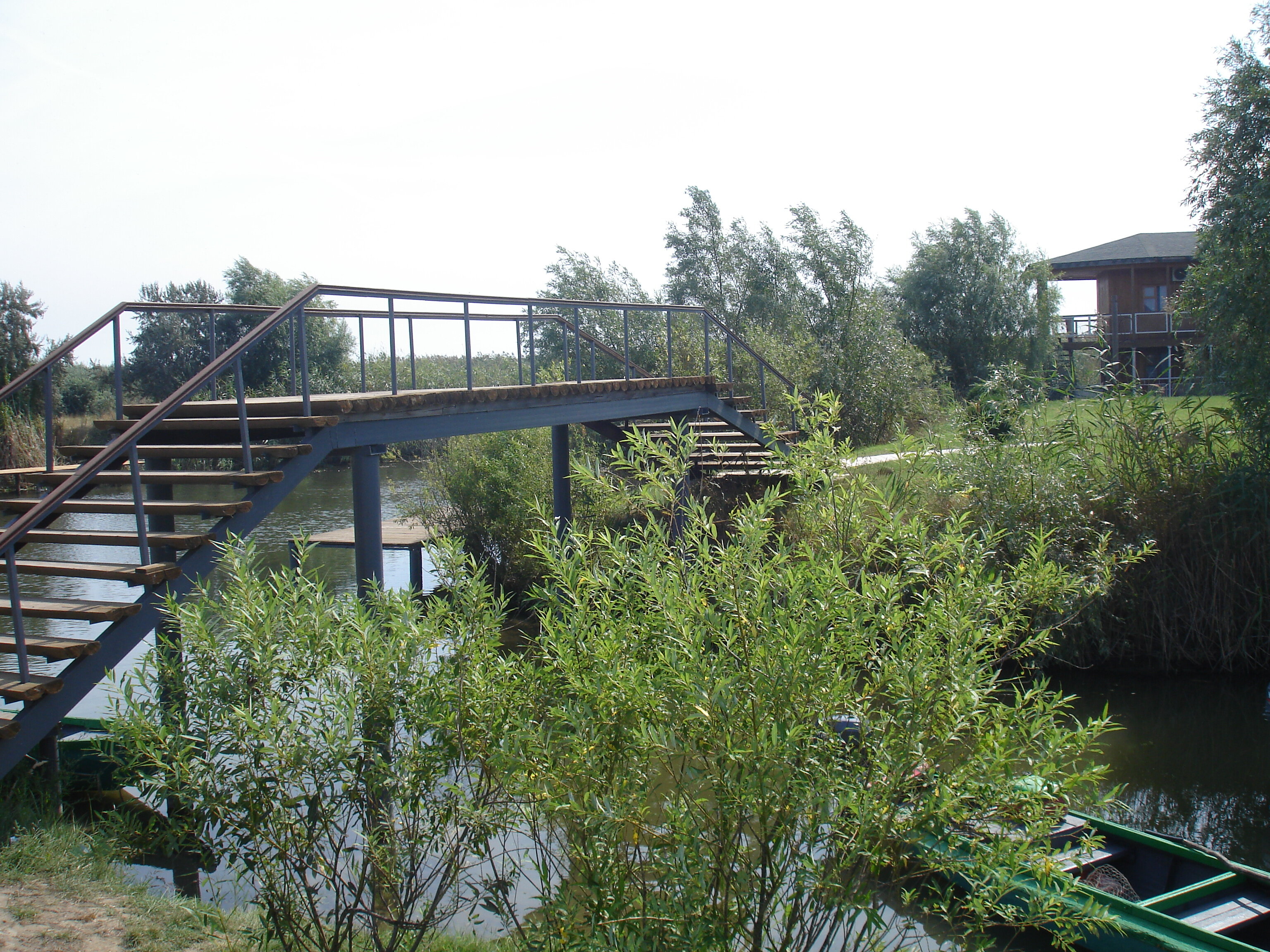 Фото Ковчег