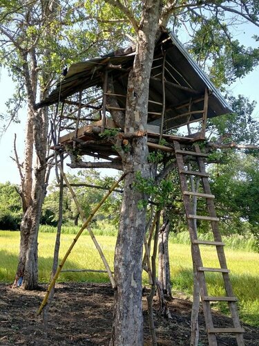 Внешний вид отеля The Nature Park Villa в Районе Матале, фото 4