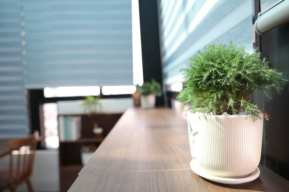 Фото The Cosy Inn Hanoi Hotel