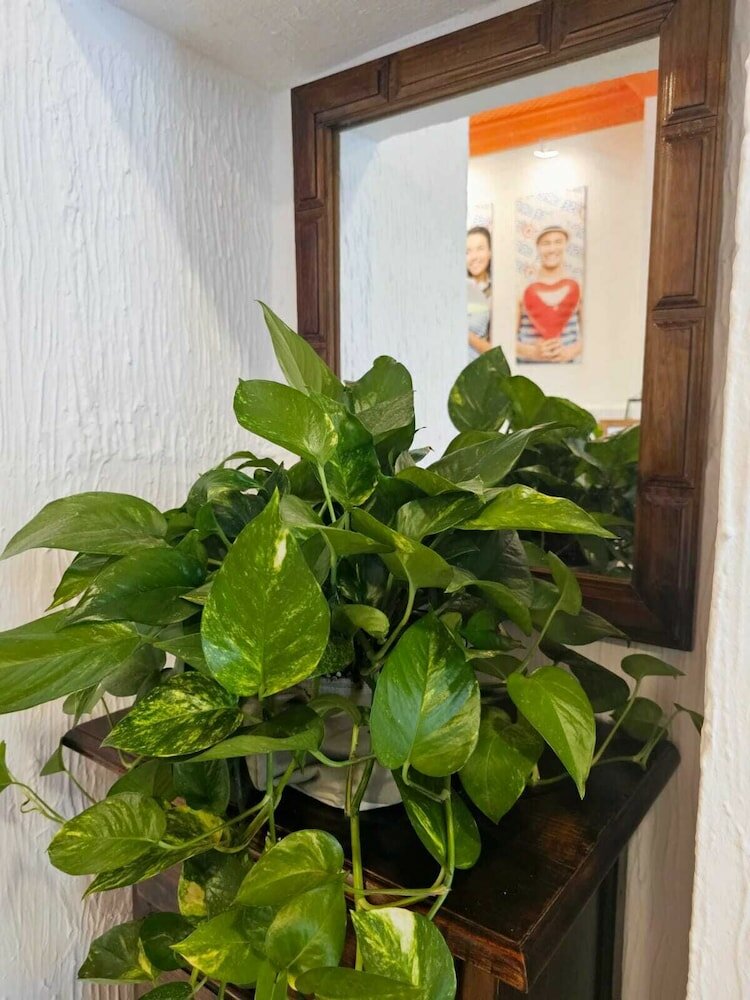 Фото Arc House Granada