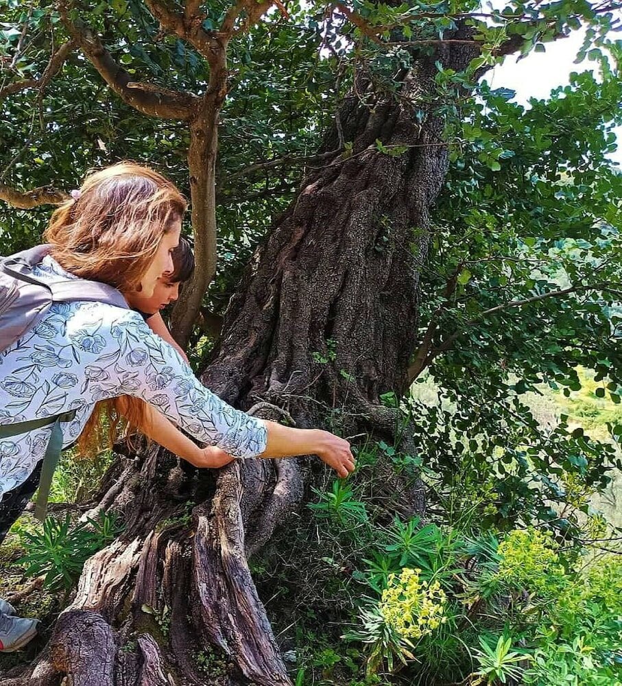 Фото Melidoni X Village