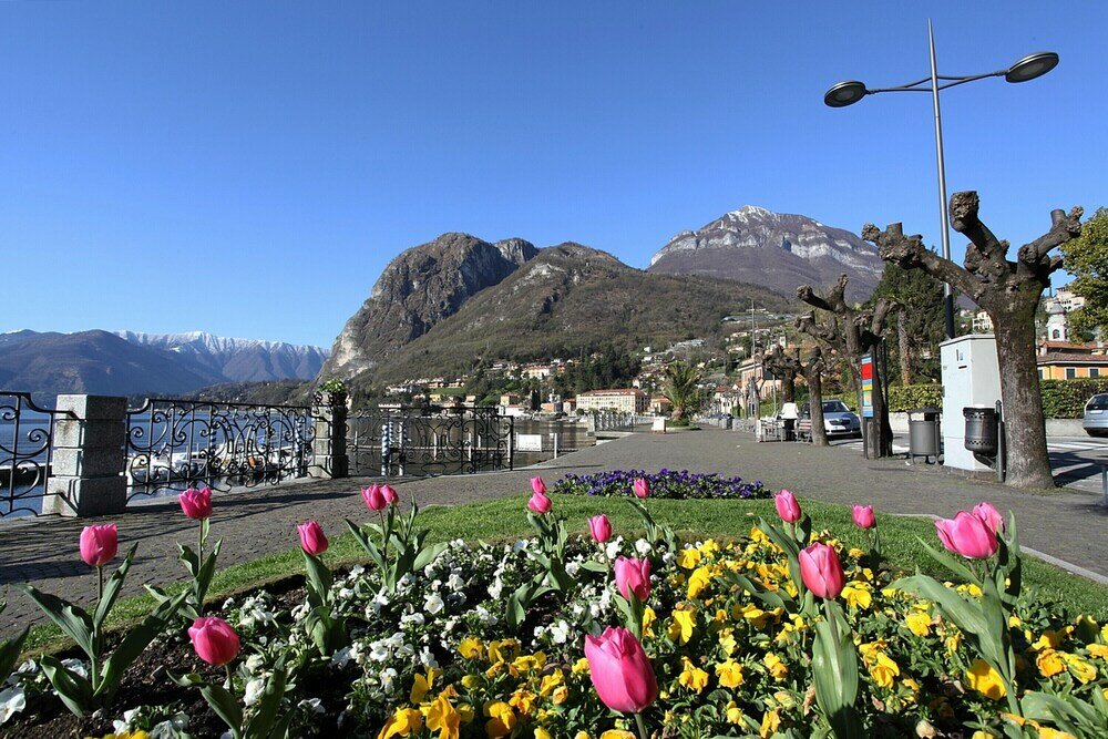 Фото Rustico Logo Bellavista