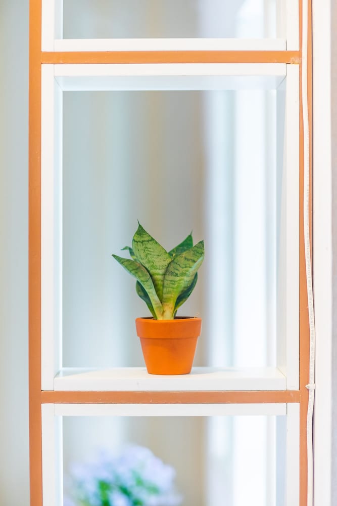 Фото Ngan Pho Studio & Hotel