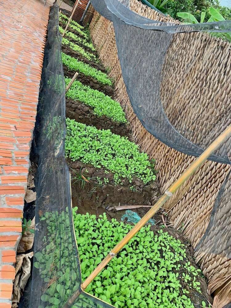 Фото Mekong Daniel Bungalow