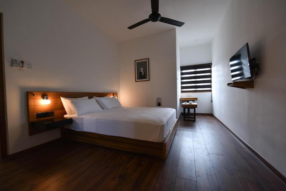 Фото Moss Colombo