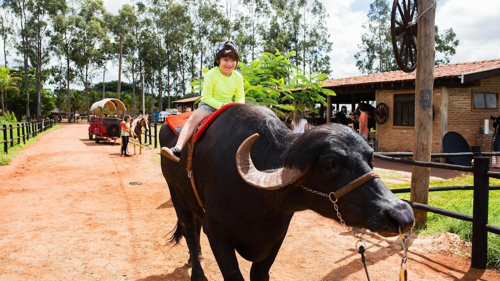 Фото Barretos Country Resort