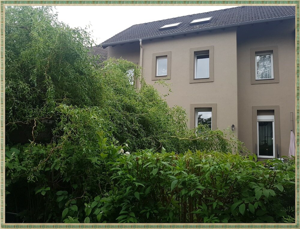 Фото Kolev Apartments