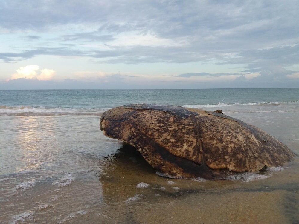 Фото Heaven in Satin Woods Rekawa