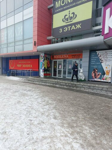 Shopping mall Aleksandrovsky passazh, Nizhniy Tagil, photo